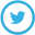 twitter icon